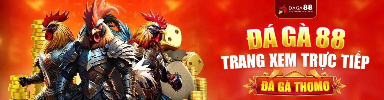 Trận đấu đá gà cựa sắt kịch tính tại 999ok khuyến mãi